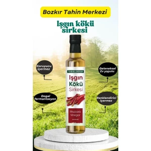 Tabib Lokman Bozkır Tahin Merkezi Işkın Kökü Sirkesi Doğal Fermantasyon 500 ml (Katkısız&glutensiz)