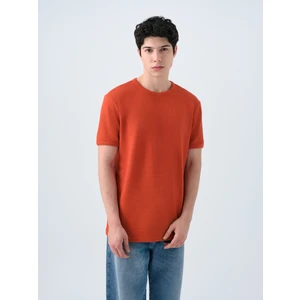 Regular Fit Erkek Tshirt K.kol