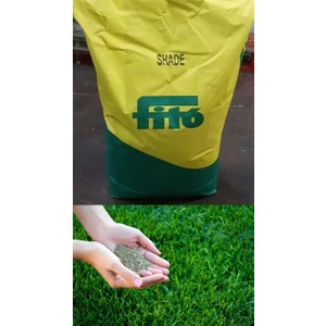 Shade Çim Tohumu 1000 GR ( Gölgeye Dayanıklı )