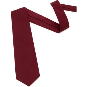 Pierre Cardin Erkek Bordo İpek Kravat 50313295-900