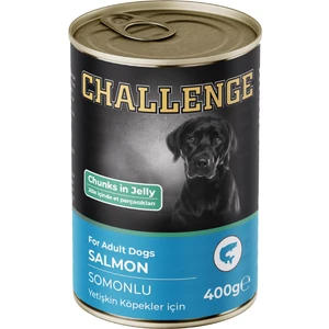 Somonlu Yetişkin Köpek Konservesi 400 gr