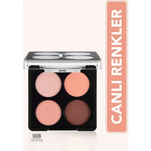 Color Palette Ince Yapılı & Mat Bitişli/ışıltılı 4'lü Göz Farı Paleti