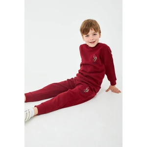 U.s. Polo Assn. Erkek Çocuk Bordo Eşofman Takımı