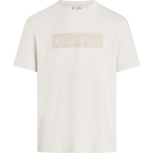 Calvin Klein Erkek T-Shirt