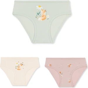 Kız Çocuk Pamuklu Renkli Baskılı Bikini Külot 3'lü PAKET 5838 Renkli