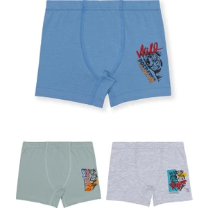 Erkek Çocuk Pamuklu Likralı Renkli Baskılı Boxer 3'lü Paket 3512 Renkli
