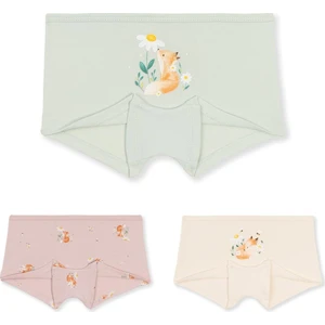 Kız Çocuk Pamuklu Renkli Baskılı Likralı Boxer 3'lü PAKET 5840 Renkli