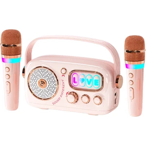 D10 Karaoke Box Kablosuz Hoparlör - Speaker