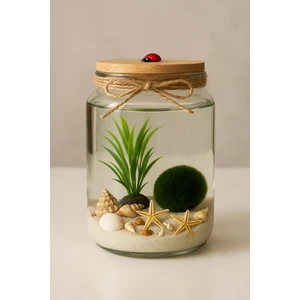 Anlamlı Ve Zarif Hediye | Canlı Marimo Şans Topu Teraryumu (Beyaz)