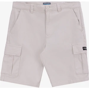 Discovery expedition d5sm-sht3889 taş normal bel standart düz erkek  şort