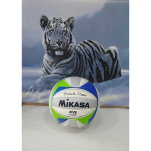 Voleybol Topu