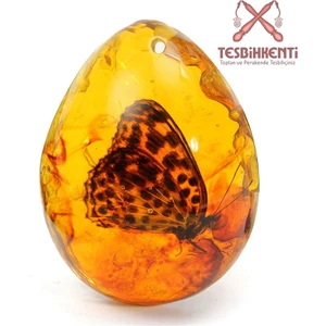 Kelebek Fosilli Toz Kehribar