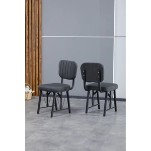 Hayat Serisi Mutfak Sandalyesi, Yemek, Bahçe, Kafe, Modern Sandalye 2 Adet - Antrasit