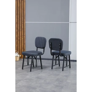 Hayat Serisi Mutfak Sandalyesi, Yemek, Bahçe, Kafe, Modern Sandalye 2 Adet - Lacivert