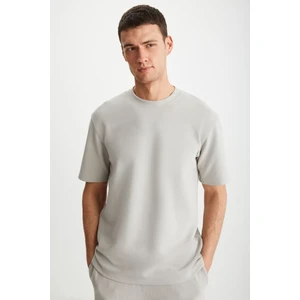 DRAVIK Erkek Yuvarlak Yaka Kısa Kol Regular Fit Bej T-Shirt