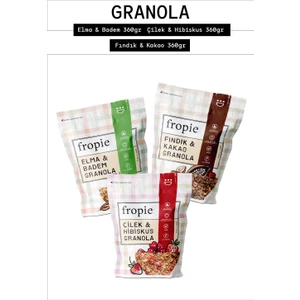 Premium 3'lü granola Seti