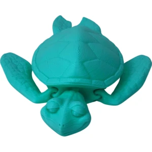 Nbshop 3D Hareketli Kaplumbağa Figürlü Oyuncak