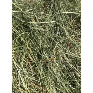 Çayır Otu Kemirgen Otu 4 kg Yeşil-Kuru-Temiz