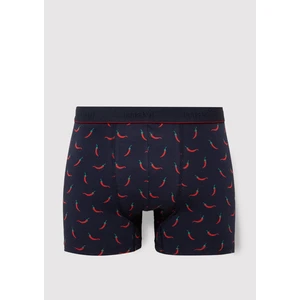 Biber Baskılı Lacivert Boxer 091943-29722