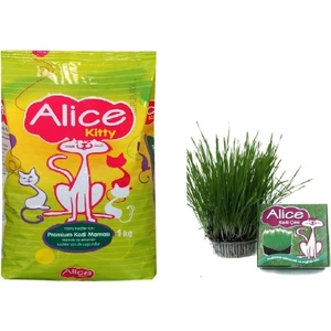 Kitty Yavru Hamile ve Emziren Kedi Maması 1 Kg+ Alice Çim