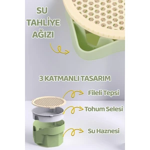 Topraksız Kedi Çimi