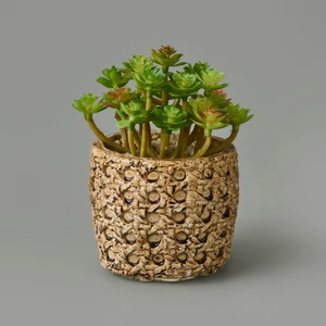Hasır Efekt Saksıda Sukulent - 7X8X8 cm