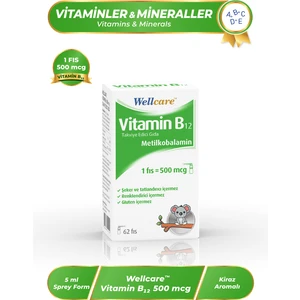 Vitamin B12 (Metilkobalamin) 500 Mcg Dil Altı Sprey 5 ml