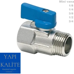 Mini Küresel Vana Erkek 3/4