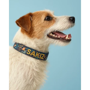 Lusi Doog Kişiye Özel Köpek Boyun Tasması Isme Özel Köpek Tasması Isimli Köpek Tasması (Desenli)