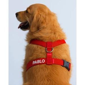Lusi Doog Güvenlik Amaçlı Numaralı Isimli Köpek Göğüs Tasması Kişiye Özel Göğüs Tasması (Nakışlı)