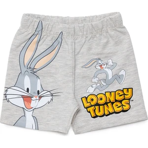 Loney Tunes Looney Tunes Şort