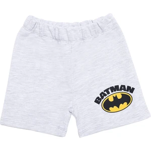 Dc Comıcs Batman Şort