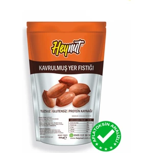 Kavrulmuş Fıstık 500 gr
