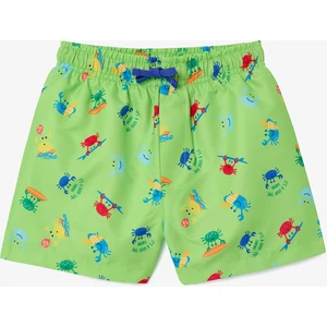 Erkek Çocuk Colorful Crab Çok Renkli Şort
