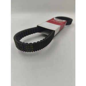 T-Rex 188 Japon Üretim Bando Kayış