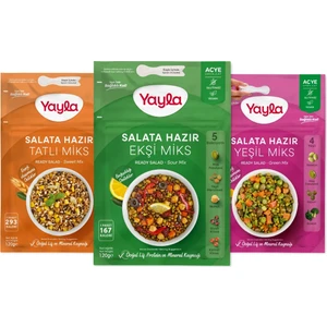Salata Hazır Tatlı-Ekşi-Yeşil Miks 120 gr x3