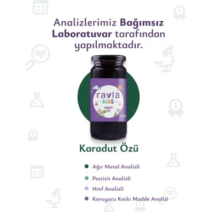 Kids Karadut Özü - 300g
