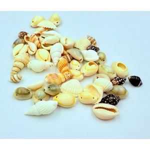 Yiğit Aksesuar 50 Adet Karışık Delikli Deniz Kabuğu Takı Yapım Malzemeleri