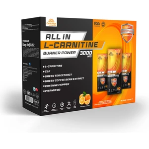 All In L-Carnitine Burner Power