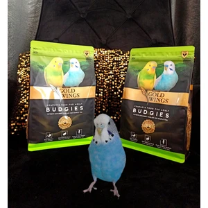 Gold Wings Premium Muhabbet Kuş Yemi 1 kg x 2 Adet ( 2027 Tarihli) Taze Üretim
