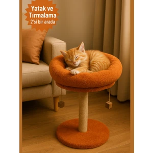 2 Si 1 Arada | Kedi Tırmalama Tahtalı ve Yuvarlak Kedi Yatağı | Yumuşacık Dolgulu Boncul Elyaf, 40 cm Yatak, 55 cm Uzunluk |en Çok Tercih Edilen