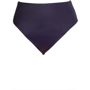 Kadın Hipster Yüksek Bel Mor Bikini Altı