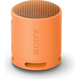 Srs-Xb100 Kablosuz Bluetooth Hoparlör, Ip67 Su Ve Toz Geçirmez, 16 Saat Pil Ömrü