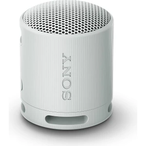 Srs-Xb100 Kablosuz Bluetooth Hoparlör, Ip67 Su Ve Toz Geçirmez, 16 Saat Pil Ömrü