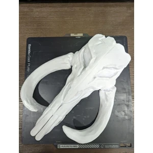 Mitosaur Kafatası P433448