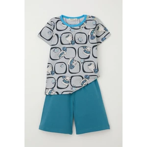 Girls & Boys Erkek Bebek Pijama Takımı Sevimli Rakun Desenli 9 Ay-3 Yaş, Gri