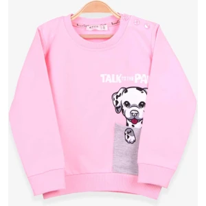 Kız Çocuk Sweatshirt Köpek Baskılı 2-6 Yaş, Pudra