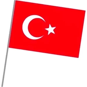 Sopalı Kağıt Bayrak Küçük - 30 Adet