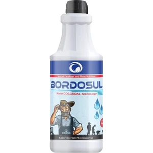 Bordo Bulamacı - 1 Lt
