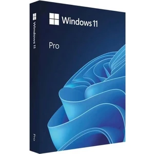 Windows 11 Pro